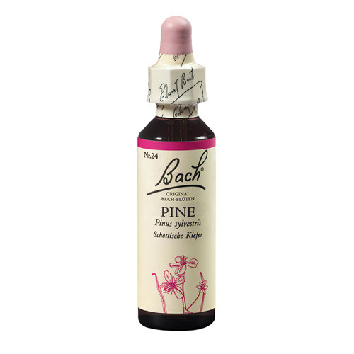 Bach Pine x 20ml(Pin)