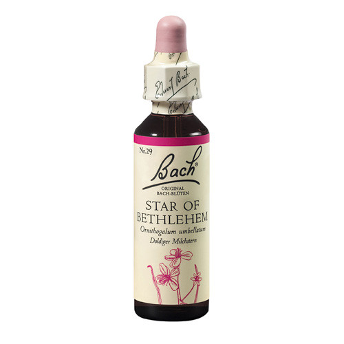 Bach Star of Bethlehem x 20ml (Balusca)
