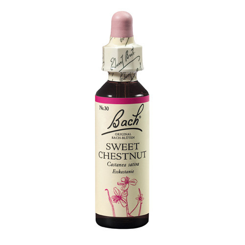 Bach Sweet Chestnut x 20ml (Castan Comestibil)