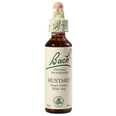 Bach Mustard x 20 ml (Mustar Salbatic)