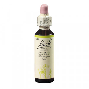 Bach Olive x 20ml(Maslin)