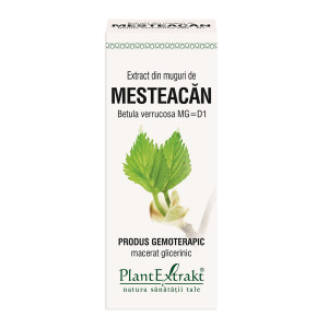 Plant Extrakt Extract din Muguri de Mesteacan x 50ml