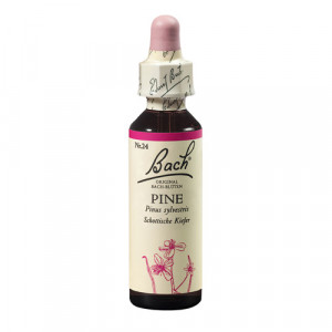 Bach Pine x 20ml(Pin)
