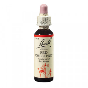 Bach Red Chestnut (Castan Rosu) x 20ml