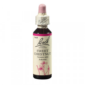 Bach Sweet Chestnut x 20ml (Castan Comestibil)
