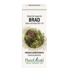 PlantExtrakt Extract din Muguri de Brad x 50ml