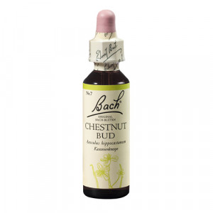 Bach Chestnut Bud x 20ml (Muguri de Castan)