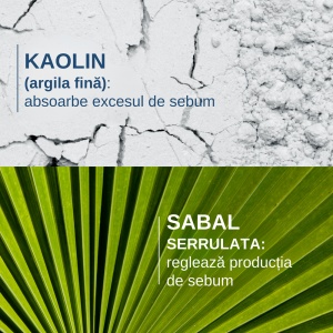 Ducray Sabal Argeal Sampon pentru reglarea sebumului x 200ml - Img 5