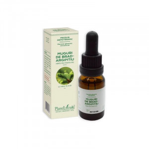 Plant Extrakt Concentrat din Muguri de brad x 15ml