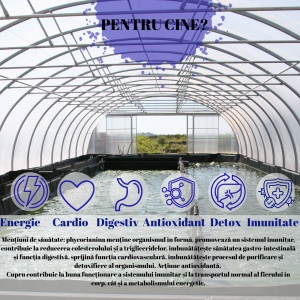 Algosource Spirulysat și cupru x 20 fiole - Img 3