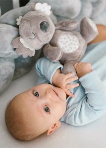 Baby Ono Jucarie de plus Koala Coco (cod 1631) - Img 2