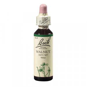 Bach Walnut x 20ml(Nuc)