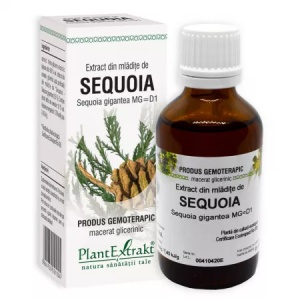PlantExtrakt Extract din Mladite de Sequoia x 50ml