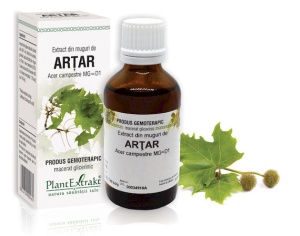 PlantExtrakt Extract din Muguri de Artar x 50ml