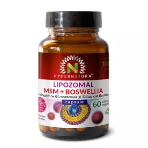 Hypernatura Lipozomal MSM + Boswellia x 60 capsule vegetale