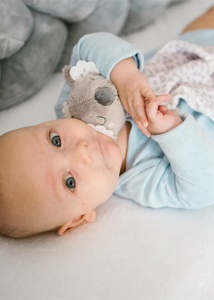 Baby Ono Jucarie de plus atasament Koala Coco (cod 1635) - Img 2