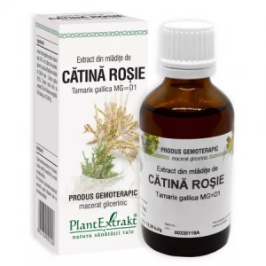 PlantExtrakt Extract din mladite de Catina rosie x 50ml