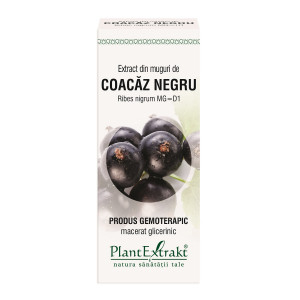 Plant E Extract Muguri de Coacaz Negru