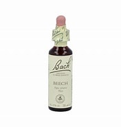 Bach Beech (Fag) x 20ml