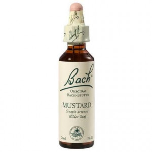 Bach Mustard x 20 ml (Mustar Salbatic)