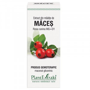 PlantExtrakt Extract din Mladite de Maces x 50ml
