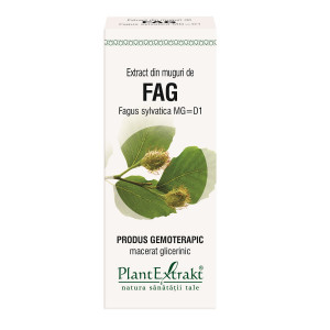 PlantExtrakt Extract din muguri de fag x 50ml
