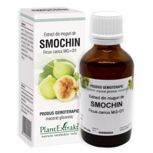 PlantExtrakt Extract din Muguri de Smochin x 50ml