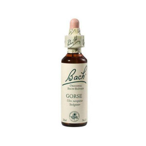 Bach Gorse x 20ml(Orz Salbatic)