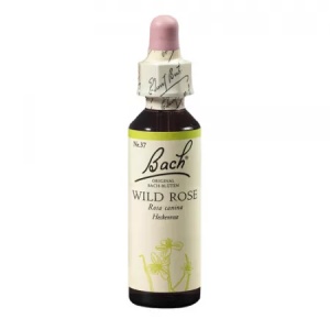 Bach Wild Rose (Maces), terapie florala Bach x 20ml