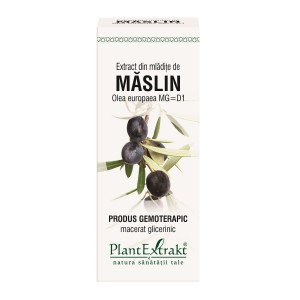 PlantExtrakt Extract din Mladite de Maslin x 50ml