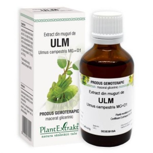 PlantExtrakt Extract din Muguri de Ulm x 50ml