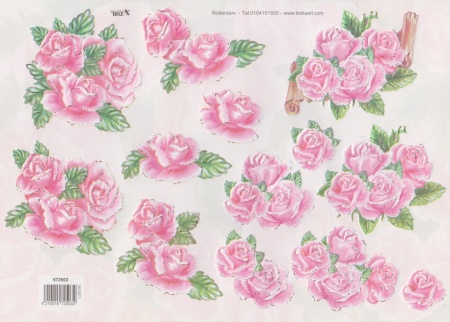 TBZ knipvel bloemen 572503 (Locatie: 5541)