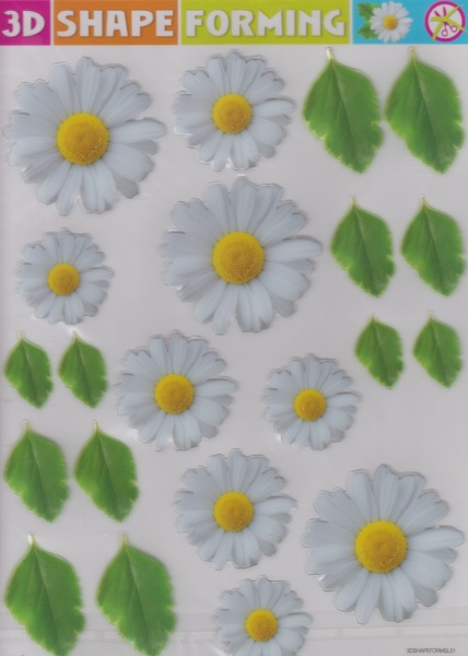 3D Shape Forming bloemen 3Dshapeformsl51 (Locatie: 1615)