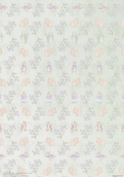 Achtergrondvel Peter Rabbit BASISPOT05 (Locatie: 1441)