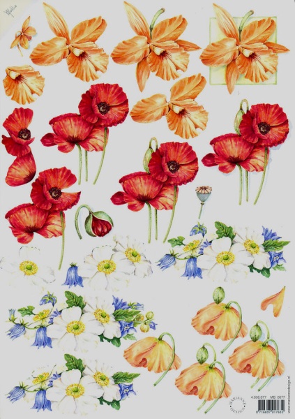 Marianne knipvel bloemen MB0077 (Locatie: 2350)