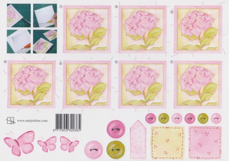 Marjoleine knipvel bloem roze 85 (Locatie: 2771)