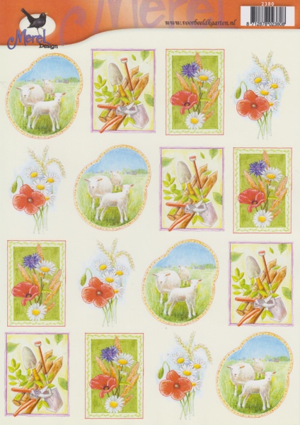 Voorbeeldkaarten merel design dieren 2380 (Locatie: 2434)