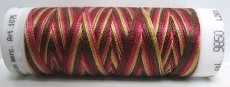 Amann Mettler Silk finish multi 100 meter 9850