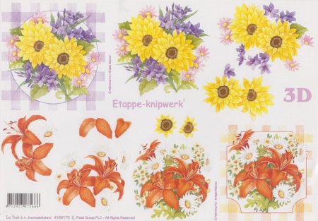 Le Suh knipvel bloemen nr. 4169170 (Locatie: 1703)