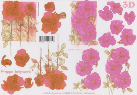 Le Suh knipvel bloemen nr. 4169459 (Locatie: 1624)