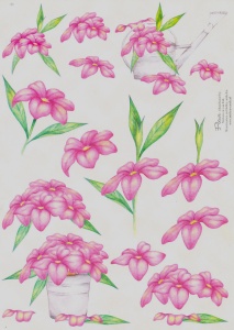 Fleur knipvel bloemen E1 (Locatie: 5505)
