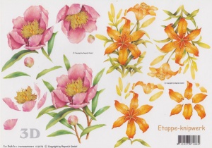 Le Suh knipvel bloemen 416978 (Locatie: 0613)