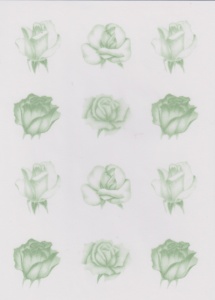 Pergamano roos groen vellum nr. 62552 (Locatie: 1733)