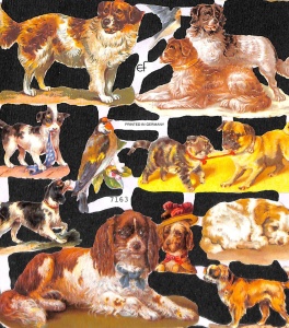 Poezieplaatje Honden MLP7163 (Locatie: MP059)