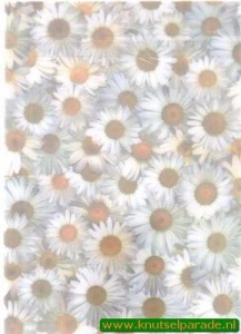 Romak vellum margrieten P2 325 20 (Locatie: 5719)