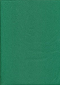 Tissuepapier groen 50 x 70 cm per vel