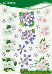 Voorbeeldkaarten knipvel bloemen 2219 (Locatie: 1310)