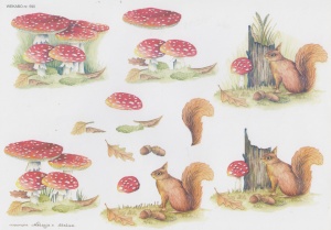 Wekabo knipvel paddestoelen/eekhoorn 590 (Locatie: 0630)