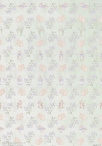 Achtergrondvel Peter Rabbit BASISPOT05 (Locatie: 1441)
