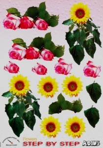 Adios knipvel bloemen SBSu0012 (Locatie: 5505)